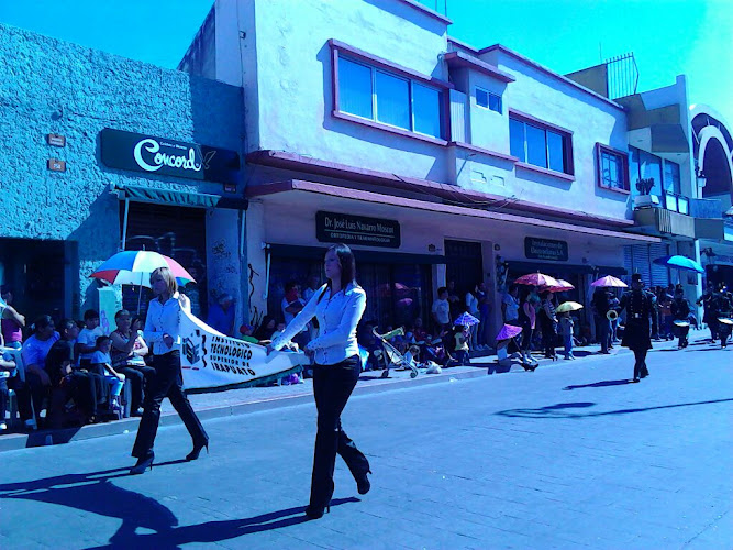 Centro de Estudios Superiores de Irapuato