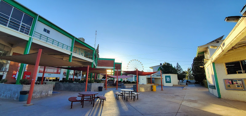 Colegio de Bachilleres del Estado de Chihuahua Plantel 8