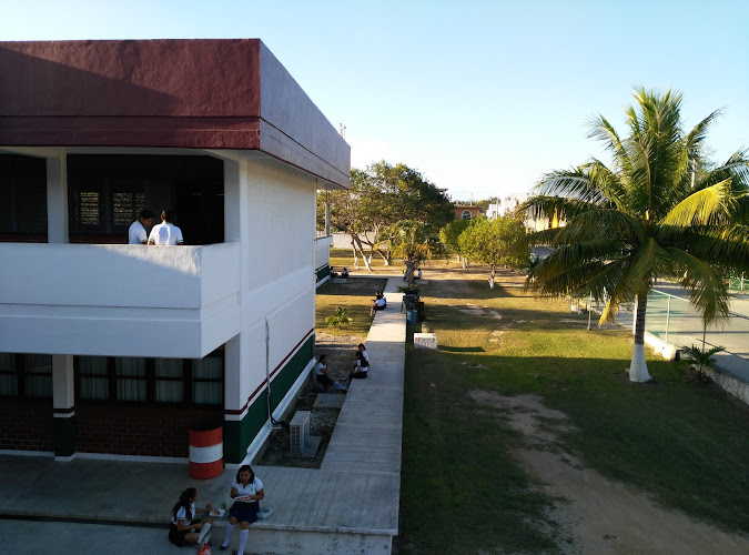 Colegio de Estudios Cientificos y Tecnologicos del Estado de Quintana Roo, CECyTE Tulum